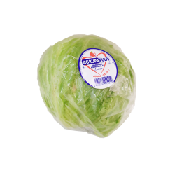 LECHUGA ICEBERG