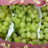 UVA BLANCA SIN PEPITA