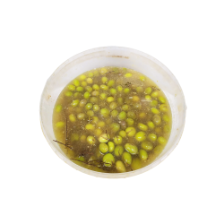 ACEITUNA PARTIDA