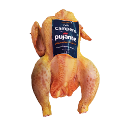 POLLO CAMPERO