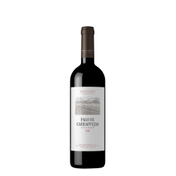 PAGO DE CARRAOVEJAS