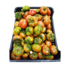 TOMATE RAF AUTENTICO