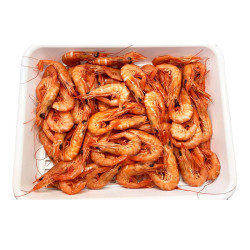 GAMBA BLANCA GORDA ESPECIAL