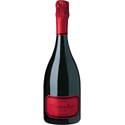 CAVA TANTUM ROSADO ERGO