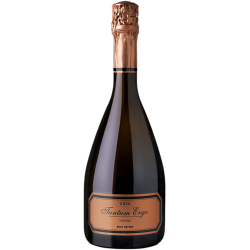 CAVA TANTUM ERGO VINTAGE 2016