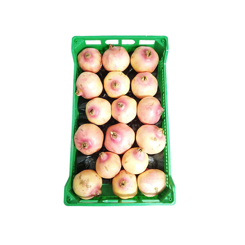 GRANADAS