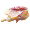 POLLO CUK MEDIO