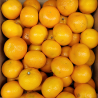 MANDARINAS ORIGEN VALENCIA