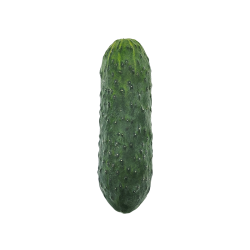 PEPINO EXTRA