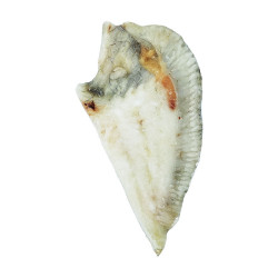 LOMOS RODABALLO KG