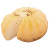 QUESO FOL EPI