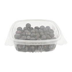 ARANDANOS TARRINA 300GR