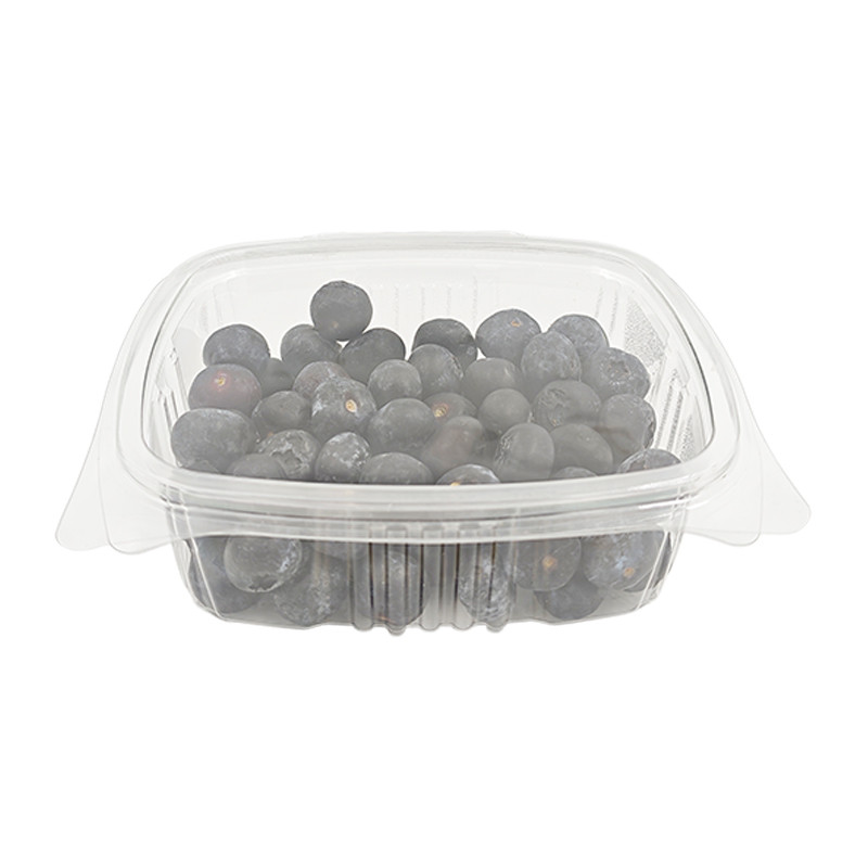 ARANDANOS TARRINA 300GR
