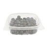 ARANDANOS TARRINA 300GR